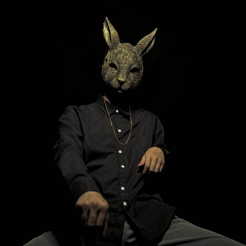 Masque de lapin intégral pour  - Kids Face Mask avis et prix
